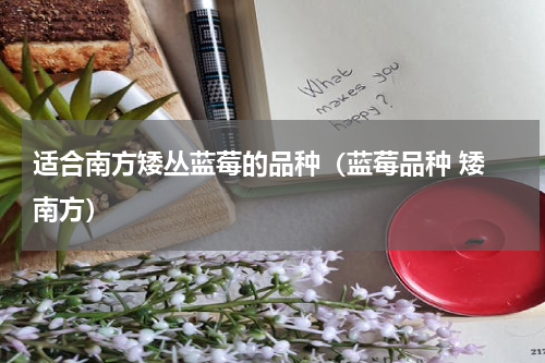 适合南方矮丛蓝莓的品种（蓝莓品种 矮 南方）