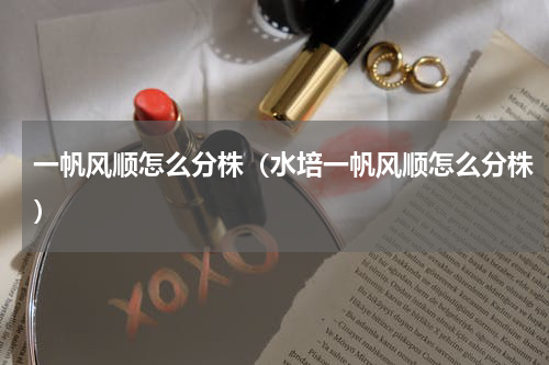 一帆风顺怎么分株（水培一帆风顺怎么分株）