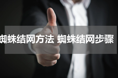 蜘蛛结网方法 蜘蛛结网步骤