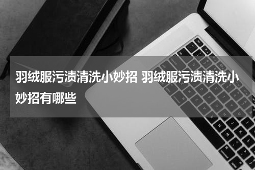 羽绒服污渍清洗小妙招 羽绒服污渍清洗小妙招有哪些