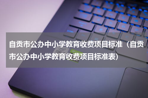 自贡市公办中小学教育收费项目标准（自贡市公办中小学教育收费项目标准表）