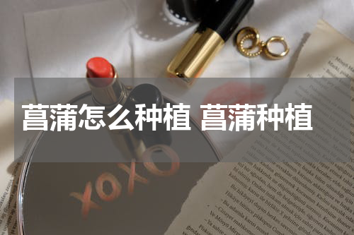 菖蒲怎么种植 菖蒲种植