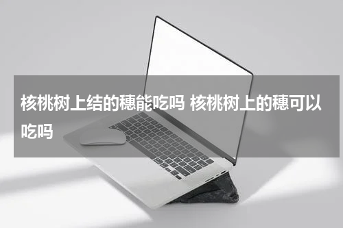 核桃树上结的穗能吃吗 核桃树上的穗可以吃吗