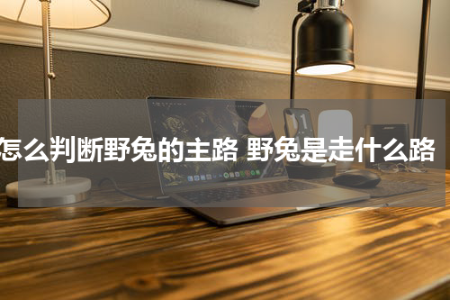 怎么判断野兔的主路 野兔是走什么路