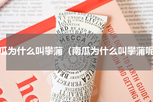 南瓜为什么叫攀蒲（南瓜为什么叫攀蒲呢）