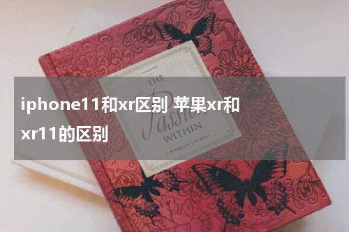 iphone11和xr区别 苹果xr和xr11的区别