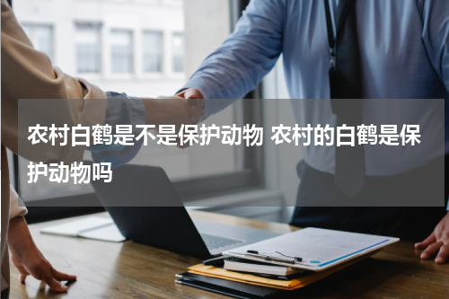 农村白鹤是不是保护动物 农村的白鹤是保护动物吗