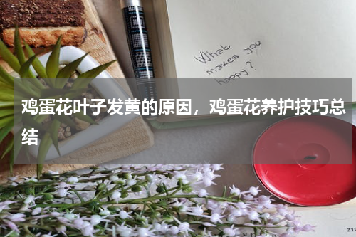 鸡蛋花叶子发黄的原因，鸡蛋花养护技巧总结
