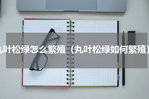丸叶松绿怎么繁殖（丸叶松绿如何繁殖）
