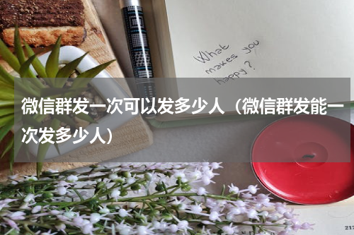 微信群发一次可以发多少人（微信群发能一次发多少人）