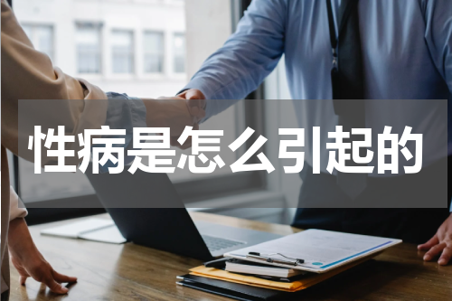 性病是怎么引起的