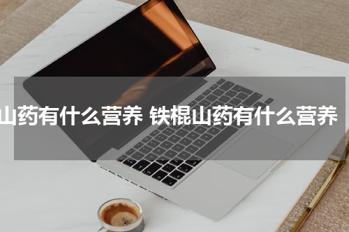 山药有什么营养 铁棍山药有什么营养
