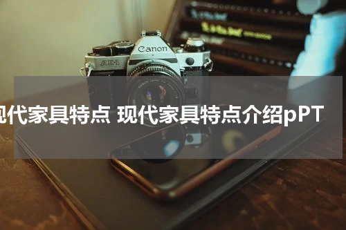 现代家具特点 现代家具特点介绍pPT