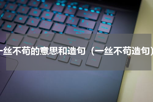 一丝不苟的意思和造句（一丝不苟造句）