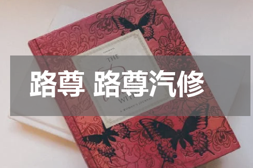 路尊 路尊汽修