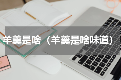 羊羹是啥（羊羹是啥味道）