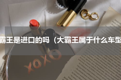 大霸王是进口的吗（大霸王属于什么车型）