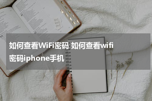 如何查看WiFi密码 如何查看wifi密码iphone手机