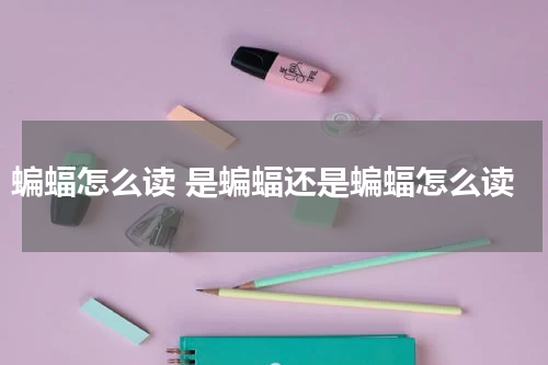 蝙蝠怎么读 是蝙蝠还是蝙蝠怎么读