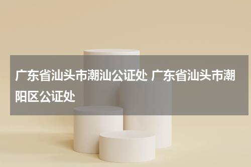 广东省汕头市潮汕公证处 广东省汕头市潮阳区公证处