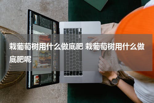 栽葡萄树用什么做底肥 栽葡萄树用什么做底肥呢