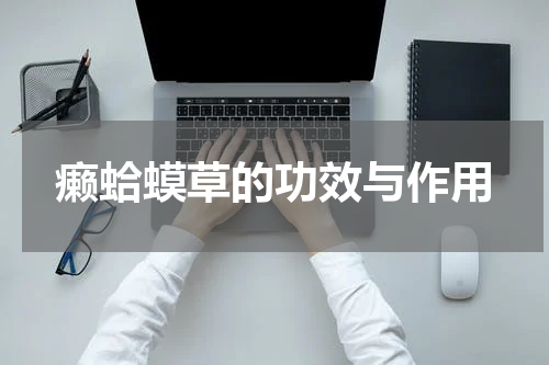 癞蛤蟆草的功效与作用
