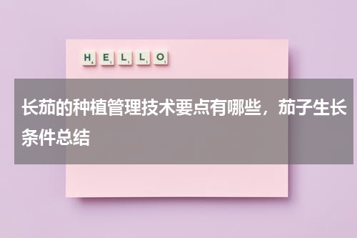 长茄的种植管理技术要点有哪些，茄子生长条件总结