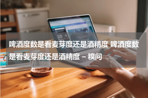 啤酒度数是看麦芽度还是酒精度 啤酒度数是看麦芽度还是酒精度 – 糗问