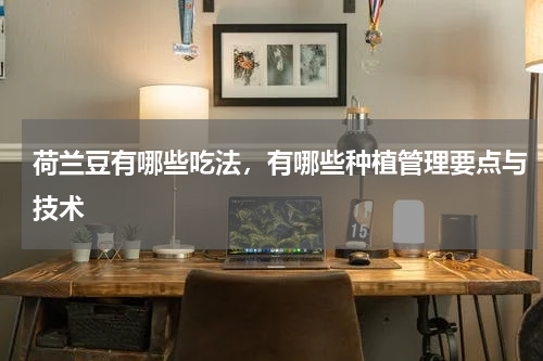 荷兰豆有哪些吃法，有哪些种植管理要点与技术
