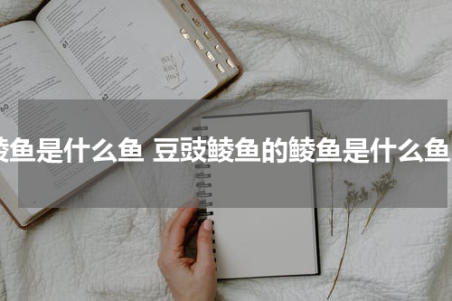 鲮鱼是什么鱼 豆豉鲮鱼的鲮鱼是什么鱼