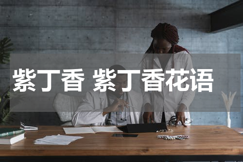 紫丁香 紫丁香花语