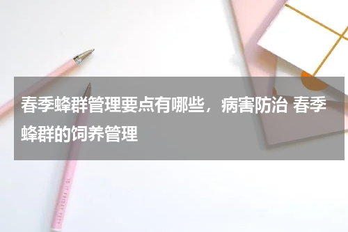 春季蜂群管理要点有哪些，病害防治 春季蜂群的饲养管理