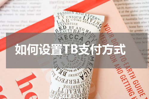 如何设置TB支付方式