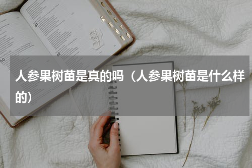 人参果树苗是真的吗（人参果树苗是什么样的）