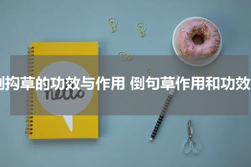 倒抅草的功效与作用 倒句草作用和功效