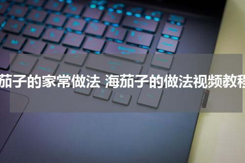 海茄子的家常做法 海茄子的做法视频教程