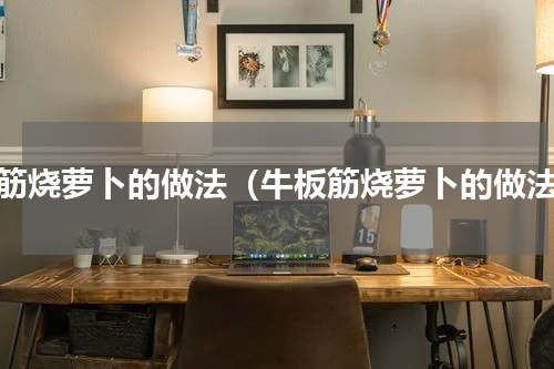 牛筋烧萝卜的做法（牛板筋烧萝卜的做法）