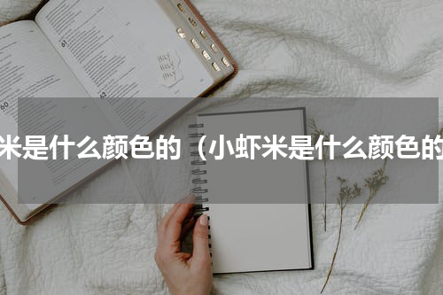 虾米是什么颜色的（小虾米是什么颜色的）