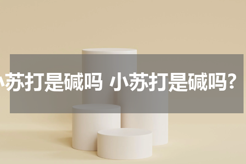 小苏打是碱吗 小苏打是碱吗?
