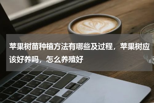 苹果树苗种植方法有哪些及过程，苹果树应该好养吗，怎么养殖好