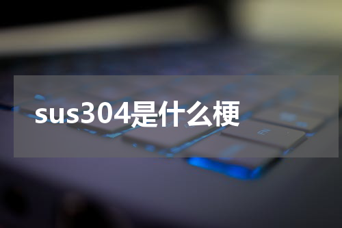 sus304是什么梗