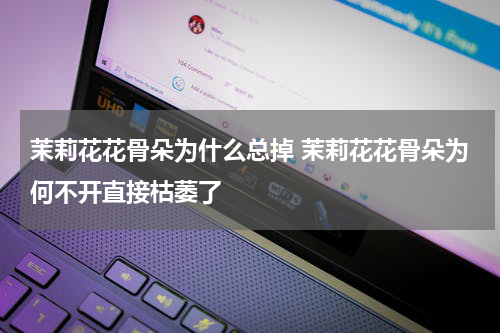 茉莉花花骨朵为什么总掉 茉莉花花骨朵为何不开直接枯萎了