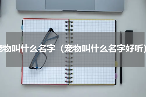 宠物叫什么名字（宠物叫什么名字好听）