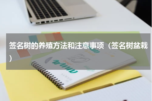 签名树的养殖方法和注意事项（签名树盆栽）