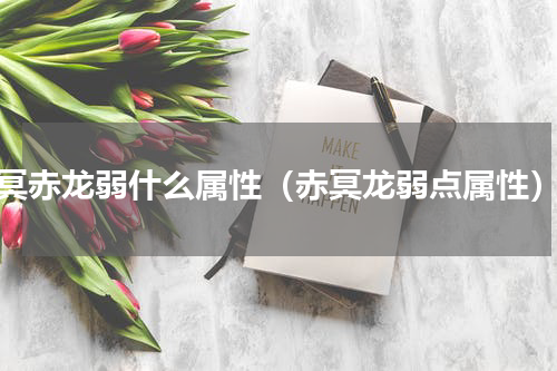 冥赤龙弱什么属性（赤冥龙弱点属性）