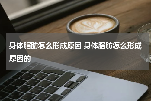 身体脂肪怎么形成原因 身体脂肪怎么形成原因的