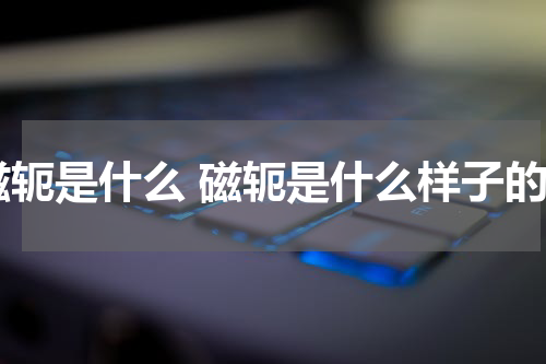 磁轭是什么 磁轭是什么样子的