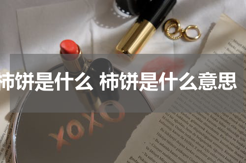 柿饼是什么 柿饼是什么意思