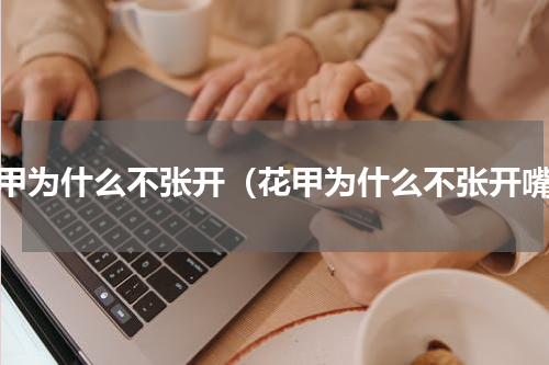 花甲为什么不张开（花甲为什么不张开嘴）
