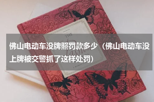 佛山电动车没牌照罚款多少（佛山电动车没上牌被交警抓了这样处罚）